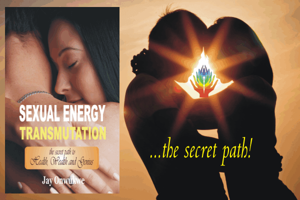 Sexual Energy Transmutation Book